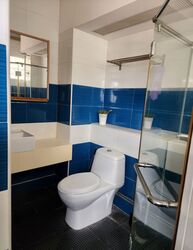 Blk 243 Pasir Ris Street 21 (Pasir Ris), HDB Executive #584984591